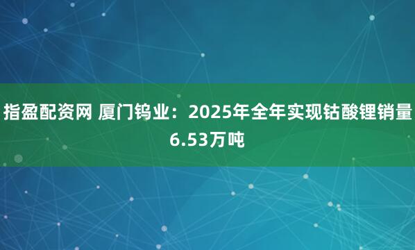 指盈配资网 厦门钨业：2025年全年实现钴酸锂销量6.53万吨